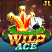 Wild Ace Game Zone Apps slot